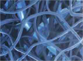 "Blue System 02" von Dr- Herbert Wiedergut