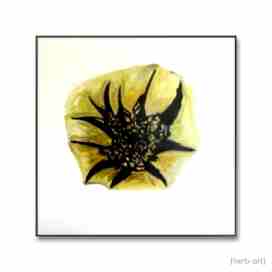 Implosion 02, Ölgemälde von Dr. Herbert Wiedergut