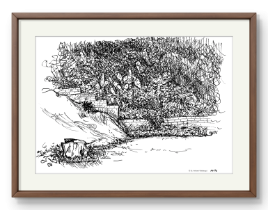 Garden, Tuschezeichnung von Herbert Wiedergut