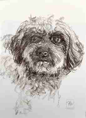 Gioia, Aquarell von Dr. Herbert Wiedergut