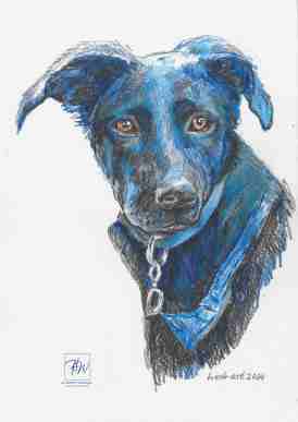 Hundeportrait von Herbert Wiedergut