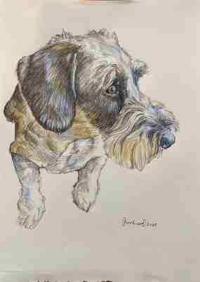 Hundeportrait von Dr. Herbert Wiedergut [herb-art]