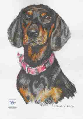 Hundeportrait Bella von Dr. Herbert Wiedergut - [herb-art]