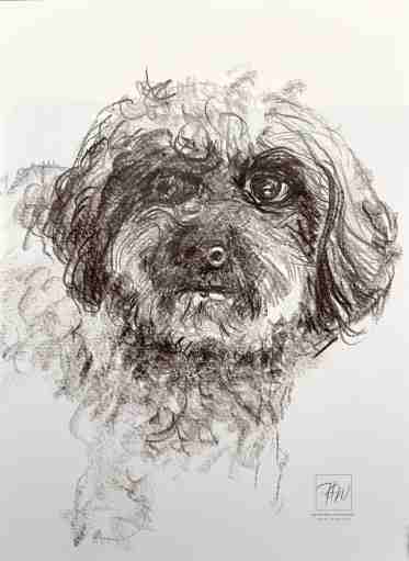 Gioia, Aquarell von Dr. Herbert Wiedergut