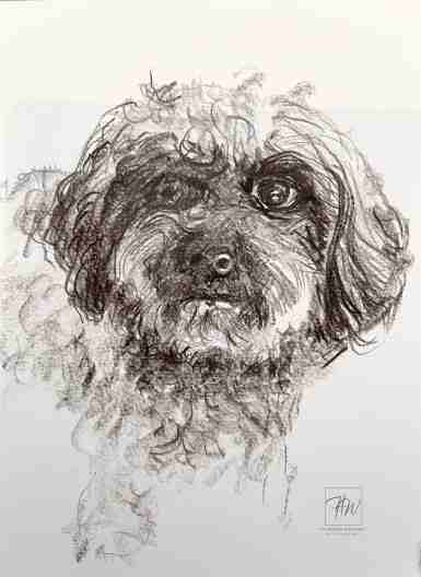 Gioia, Aquarell von Dr. Herbert Wiedergut