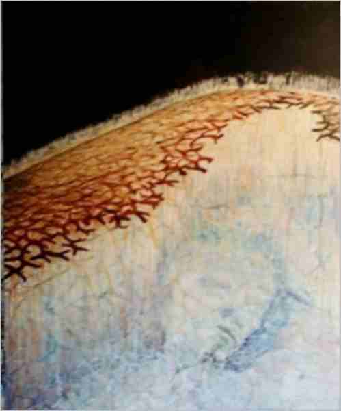 Selbstportrait 6. August 2001 Mikrokosmos